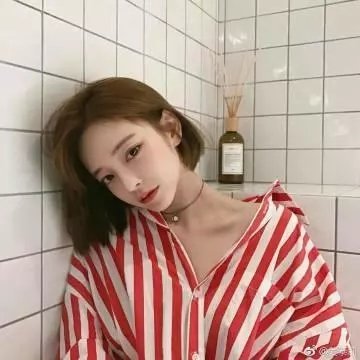 冬狮(电视剧)